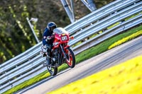 Oulton-Park-20th-March-2020;PJ-Motorsport-Photography-2020;anglesey;brands-hatch;cadwell-park;croft;donington-park;enduro-digital-images;event-digital-images;eventdigitalimages;mallory;no-limits;oulton-park;peter-wileman-photography;racing-digital-images;silverstone;snetterton;trackday-digital-images;trackday-photos;vmcc-banbury-run;welsh-2-day-enduro